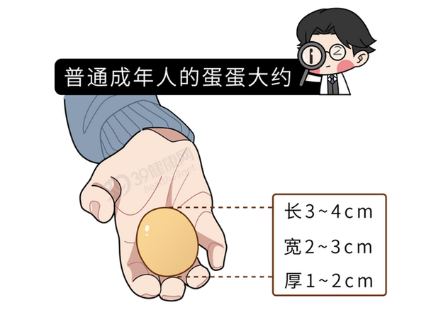 男人生理常识，男生生理知识科普  第7张