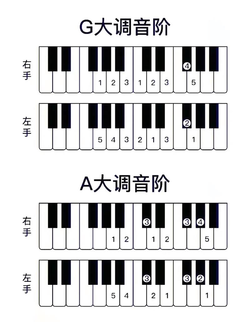 钢琴基本常识（钢琴基本常识100条）  第4张