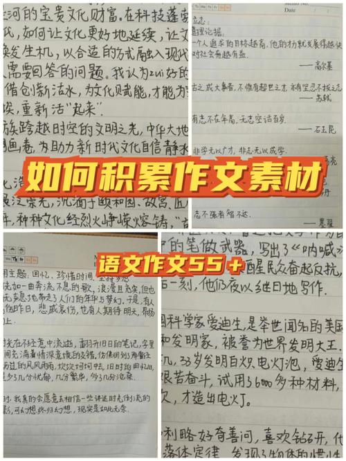 积累语文常识，语文常识积累大全小学  第4张