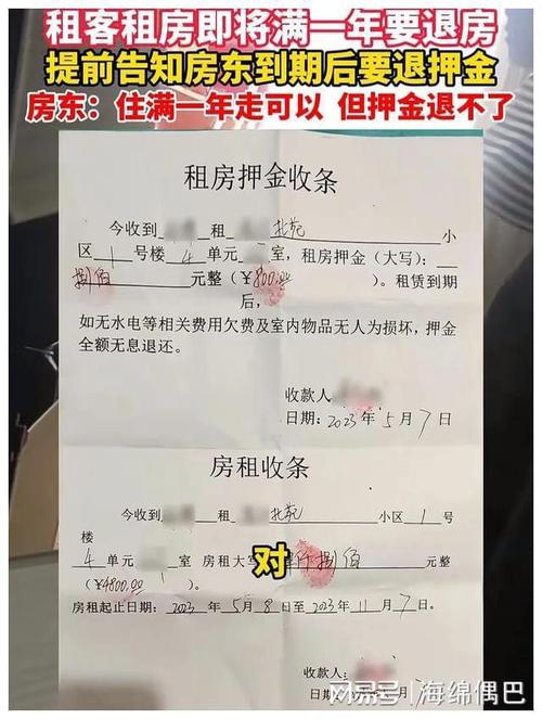 长安出行违章处理，长安交违章罚款在哪里  第2张