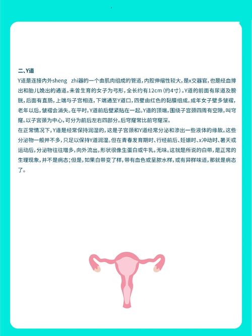 女生必须掌握的性常识 -  第6张