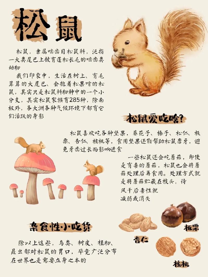 关于动物的科学常识（关于动物的科学常识有哪些二年级）  第1张