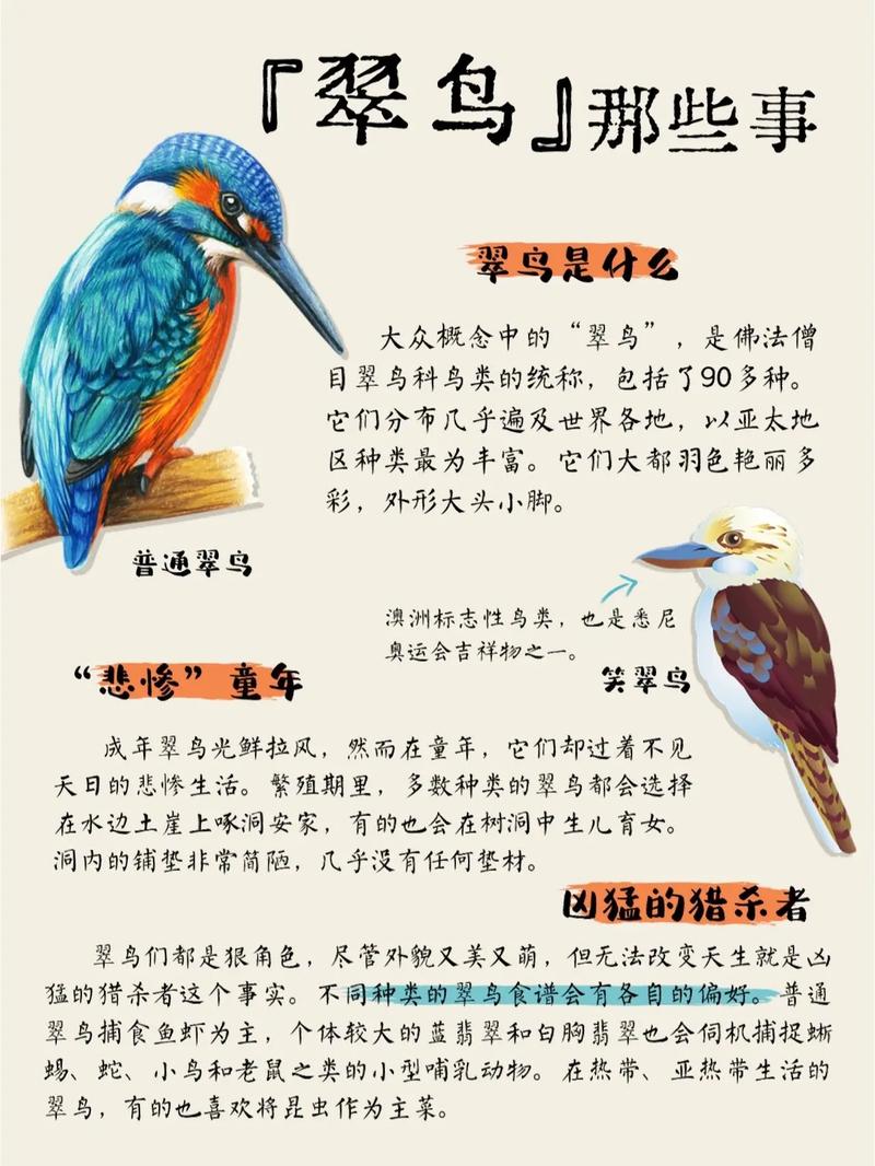 关于动物的科学常识（关于动物的科学常识有哪些二年级）  第5张