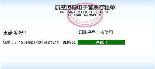 怎么看未出行机票信息 - 怎么看飞机出票没有  第2张